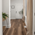 Smoked American Maple RCP6545 in the hall from episode 4 of Good Bones season 8