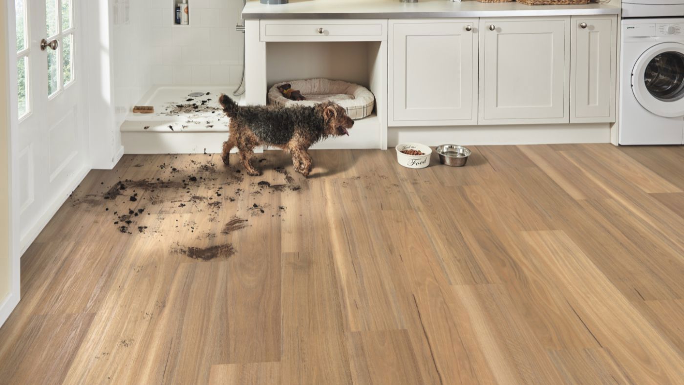 Ideal vinyl flooring for dogs and cats paws