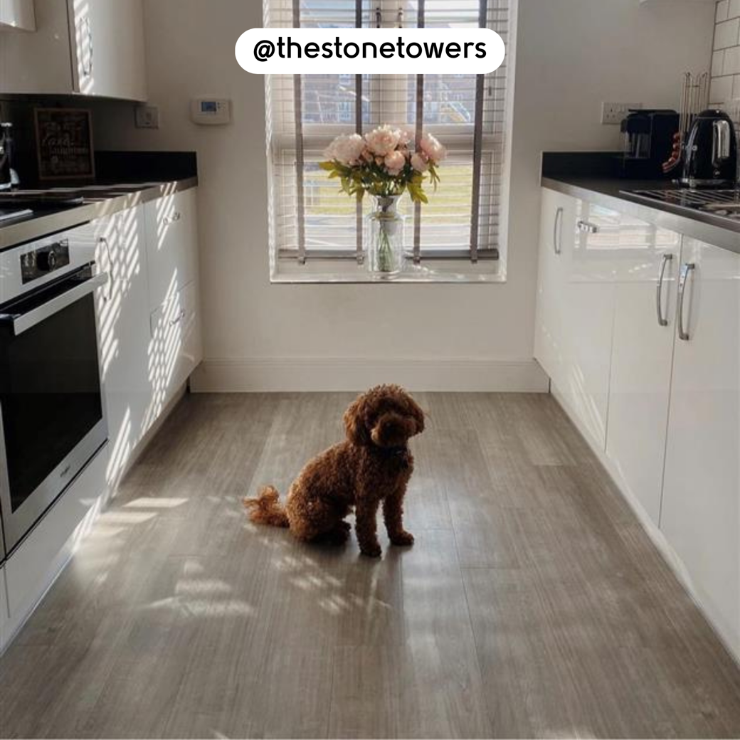 Grano WP311 in a narrow kitchen with a brown dog 